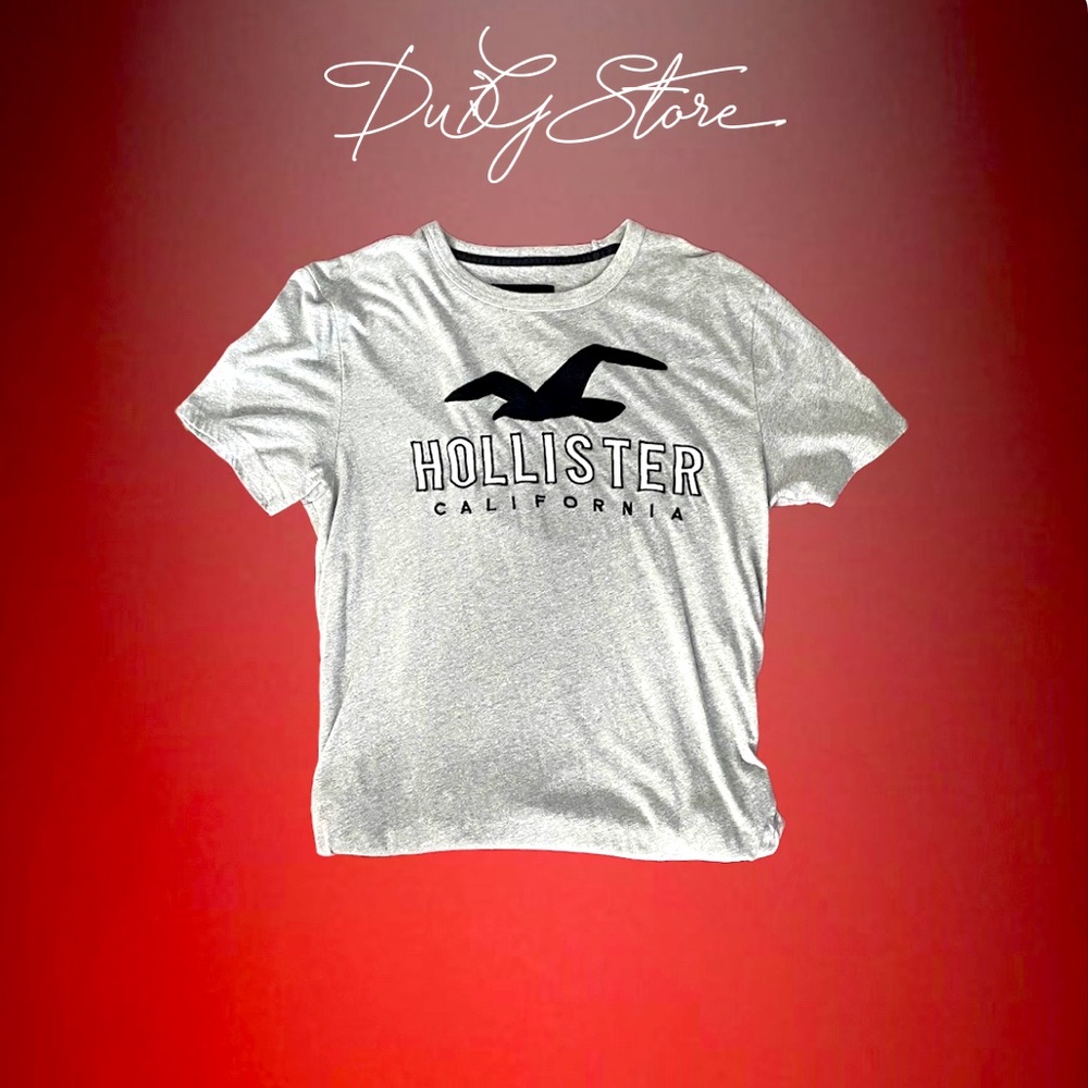 Hollister | T-Shirt | Seagull Print